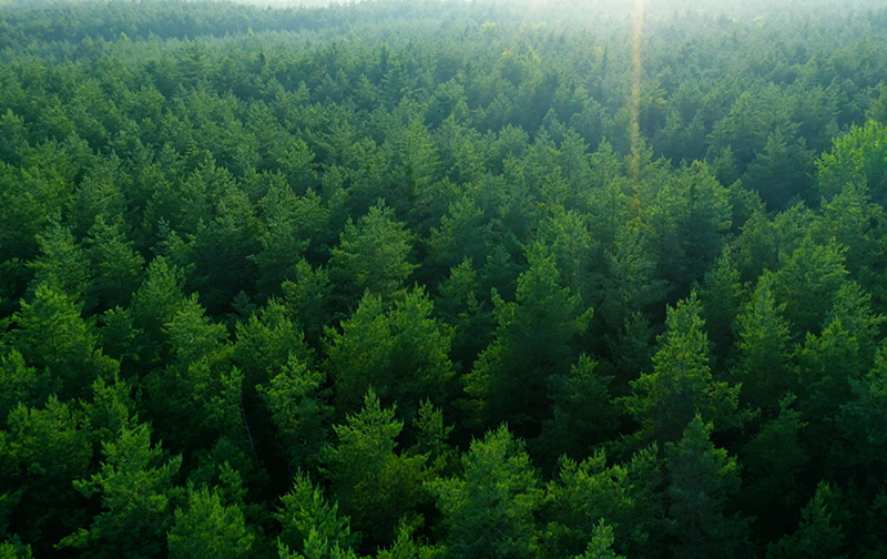 Sustainability